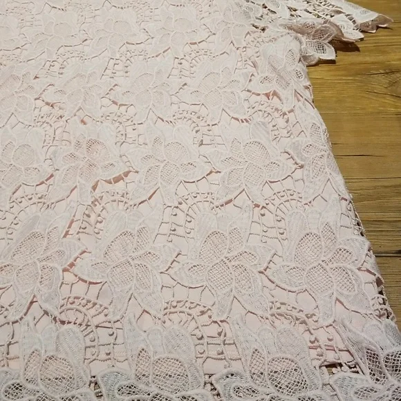 Philosophy soft pink lace overlay top EUC sz XXL - Picture 2 of 7